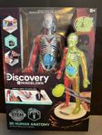 Mindblown Discovery Toy 3D-pussel skelett