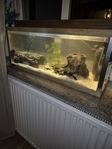 54L Akvarium 