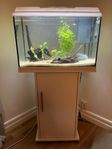 Akvarium 