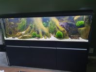 Lyxigt akvarium 720 l med möbel o pump