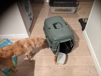 Pet Carrier (60L x 40W x 38.5H)
