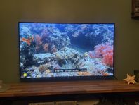 Samsung 55” i mycket bra skick