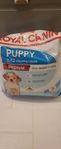 Royal Canin Medium Puppy Hundfoder Valp
