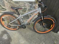 cykel 24