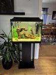 Tetra 80L akvarium 