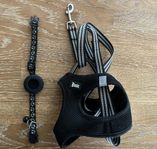 Basic kattsele för kattungar str S + airtag halsband