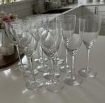 Vinglas Kosta Boda Line