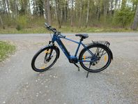 Tysktillverkad elcykel, Trenga