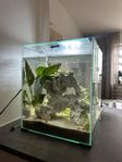 30l akvarium 