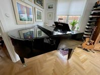 Flygel Schimmel