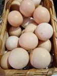 Hedemoraägg / ägg Hedemora