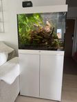 Juwel lido 200 l