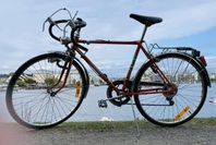 VÄRLDSMÄSTARCYKELN 1980