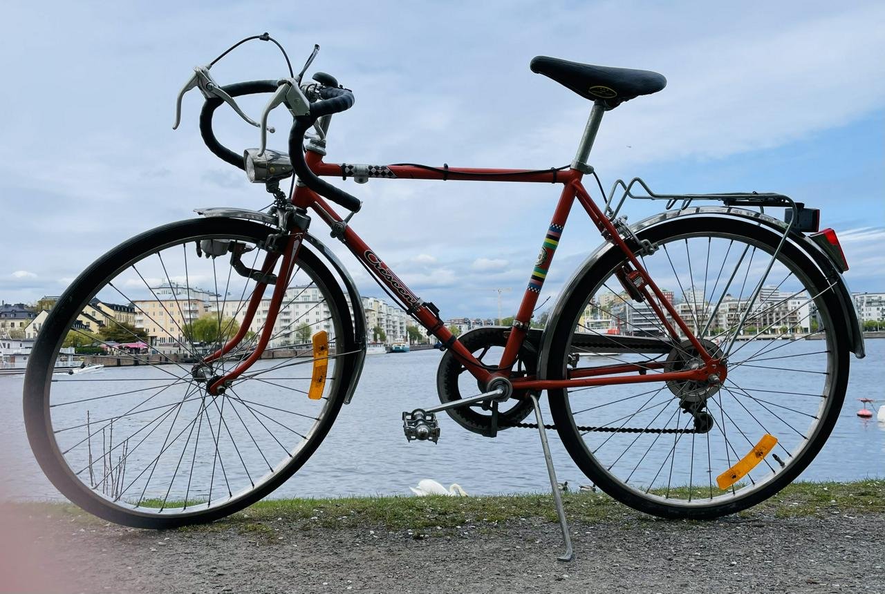 VÄRLDSMÄSTARCYKELN 1980