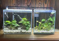 Nano akvarium 