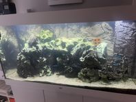 Akvarium Juwel Rio 450 L