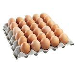 10st Avelsägg broiler, slaktkycklingar