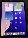 iPad Pro 11" 