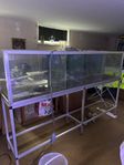 Akvarium 400l omgjort