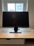 Benq 24”