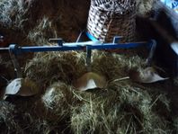potatiskupa