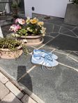 Adidas Spezial