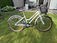 Crescent Lone 7-vxl 24”