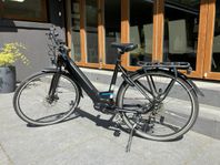 Marvil Emotion SUPRA 28" 9vxl - 2020