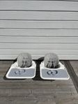 Stokke Steps Babyset