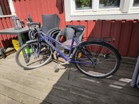 cykel