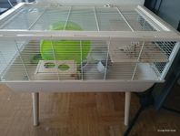 Hamster ur med tillbehör 