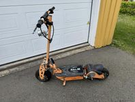 el scooter