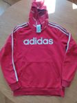 hoddie