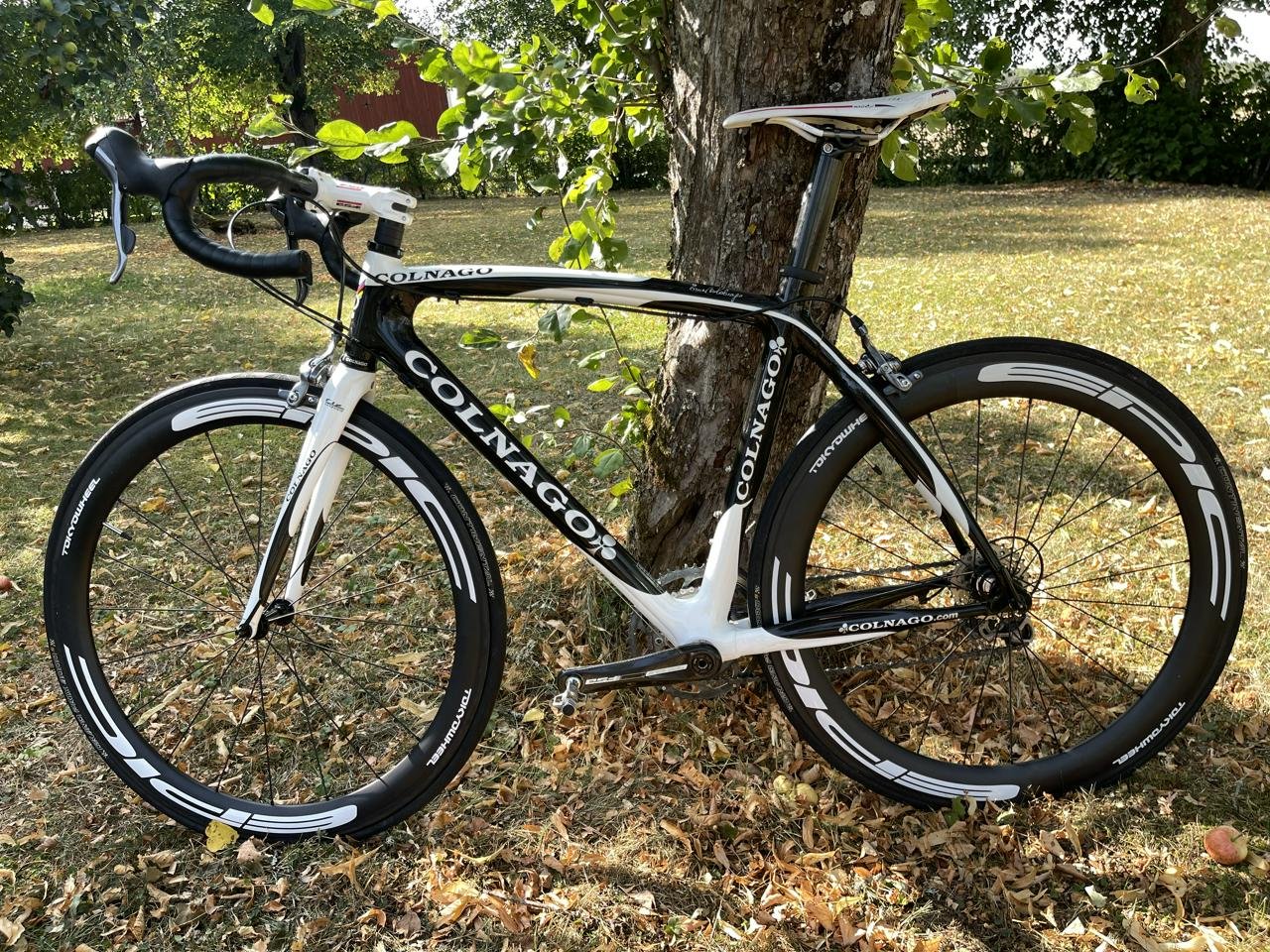 Colnago CLX full carbon