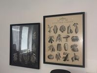 2st Posters + Tavelram