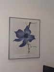 Poster + Tavelram