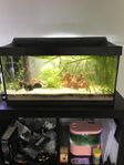 akvarium  60 liter 