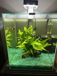 Akvarium 30L