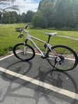 Trek Mountain Bike