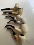 meerschaumpipor