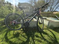 Dam/ungdomscykel