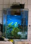 Akvarium 18 litter