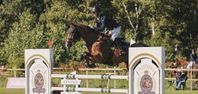 ledig stall plats 