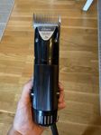 Hundtrimmer 
