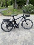 ECO RIDE