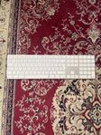 Magic Keyboard