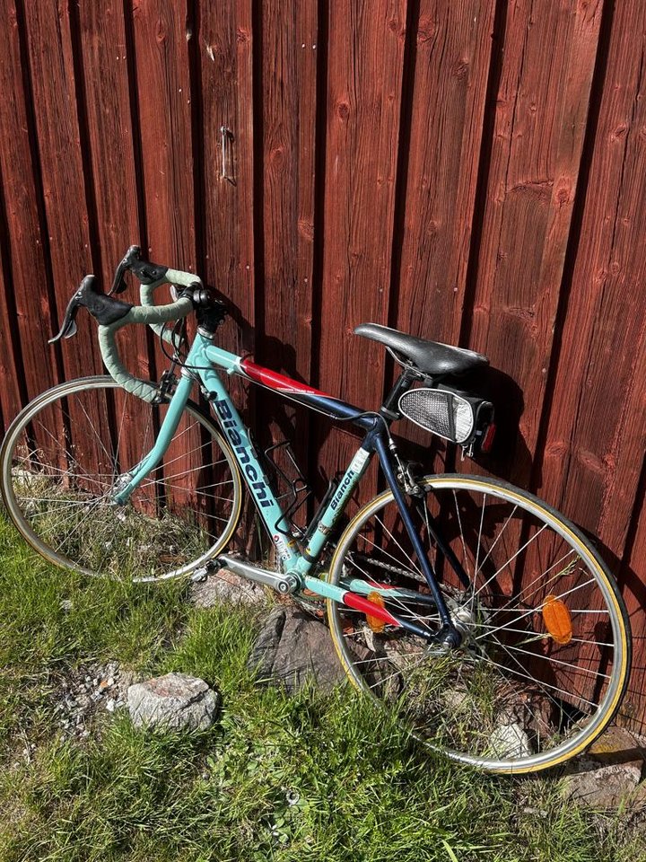 Bianchi 24 tum