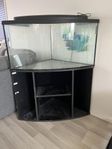 hörnakvarium 