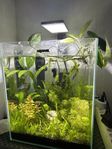 Akvarium 