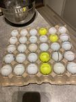 vanliga titleist och prov1
